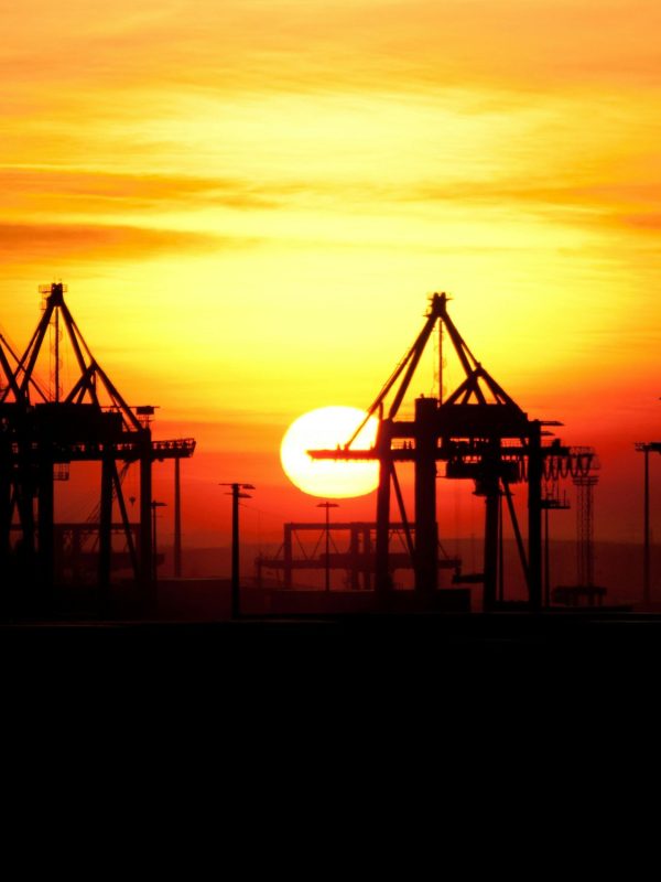 pexels-mdx014-799094