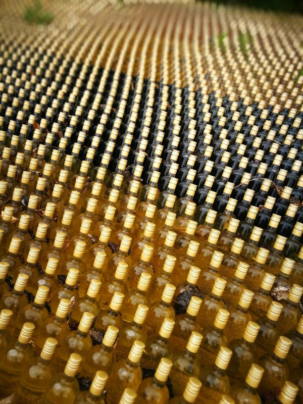 pexels-tomas-anguera-740725951-18730155